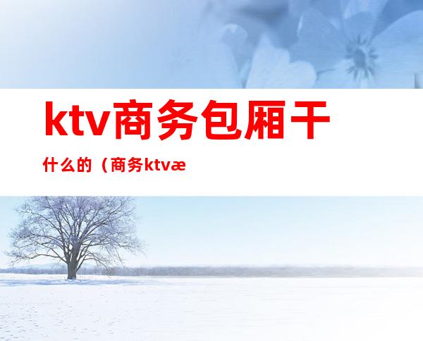 ktv商务包厢干什么的（商务ktv有些什么服务）