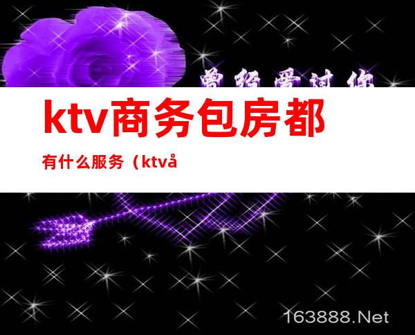 ktv商务包房都有什么服务（ktv商务包是什么样的）