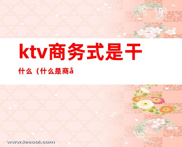 ktv商务式是干什么（什么是商务KTV）