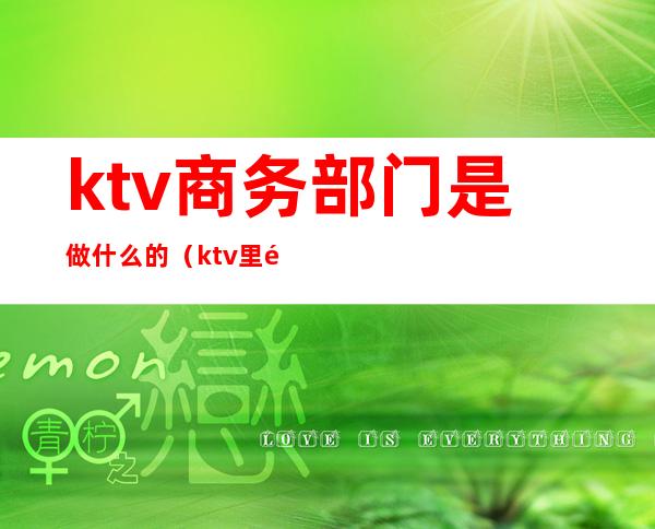 ktv商务部门是做什么的（ktv里面的商务是做什么的）