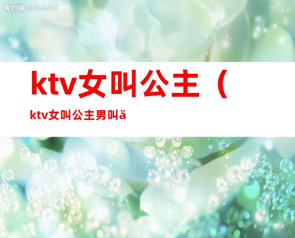 ktv女叫公主（ktv女叫公主男叫什么）