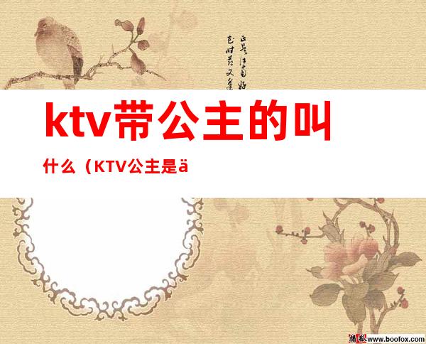 ktv带公主的叫什么（KTV公主是什么?）