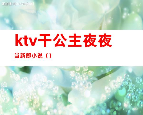 ktv干公主夜夜当新郎小说（）