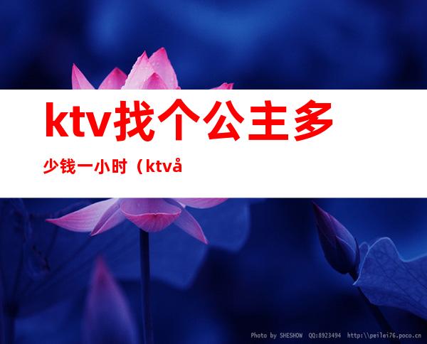 ktv找个公主多少钱一小时（ktv公主一天多少钱）