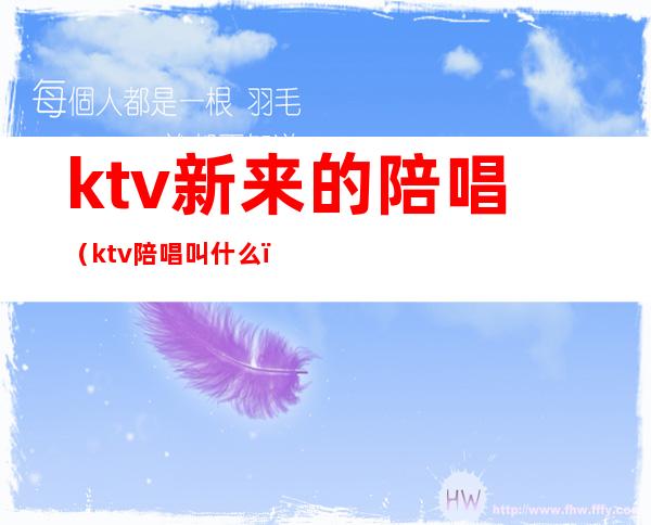 ktv新来的陪唱（ktv陪唱叫什么）