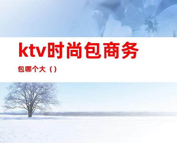 ktv时尚包商务包哪个大（）