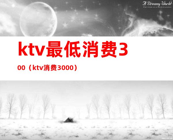 ktv最低消费300（ktv消费3000）