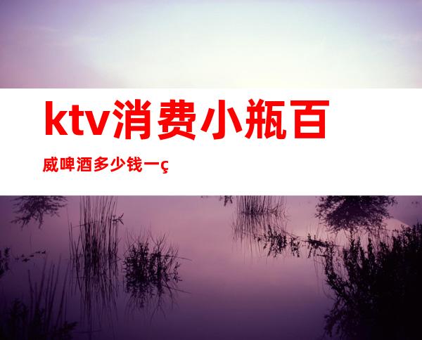 ktv消费小瓶百威啤酒多少钱一箱（ktv的百威多少钱一箱）