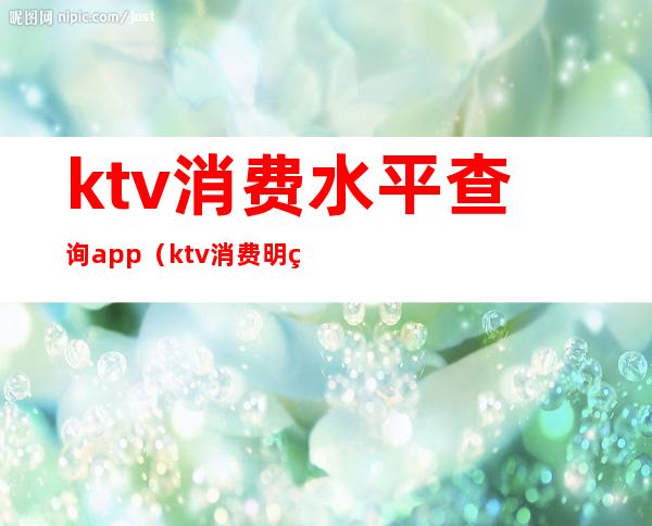 ktv消费水平查询app（ktv消费明细表）