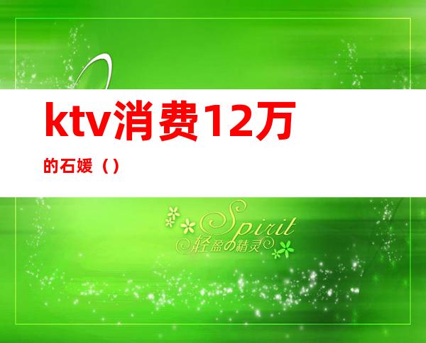 ktv消费12万的石媛（）