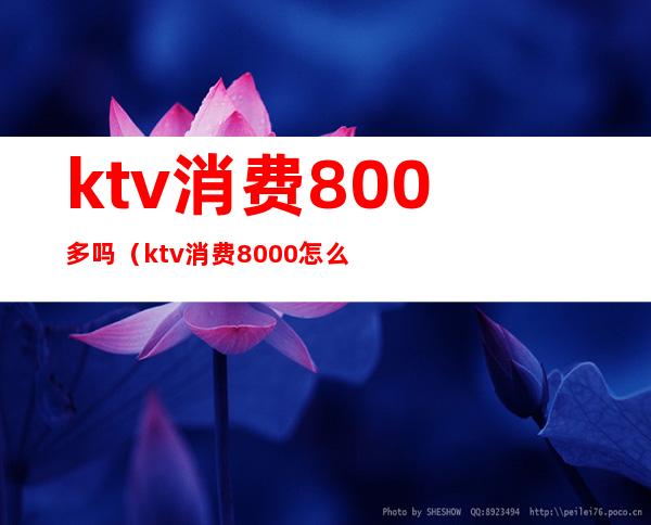 ktv消费800多吗（ktv消费8000怎么消费）