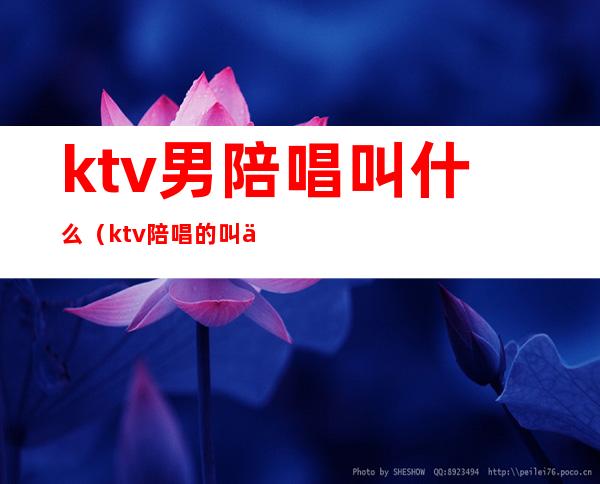 ktv男陪唱叫什么（ktv陪唱的叫什么）