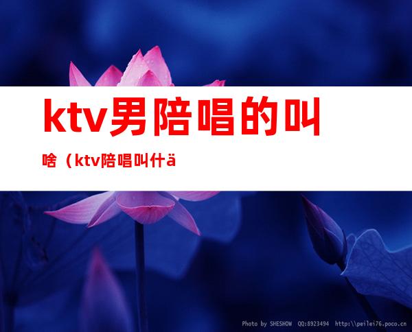 ktv男陪唱的叫啥（ktv陪唱叫什么）