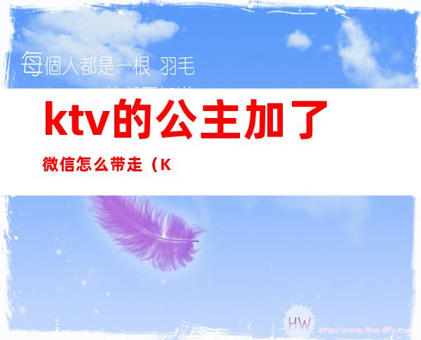 ktv的公主加了微信怎么带走（KTV公主加微信）