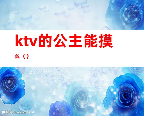 ktv的公主能摸么（）