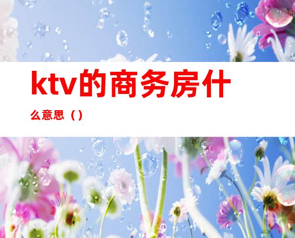 ktv的商务房什么意思（）