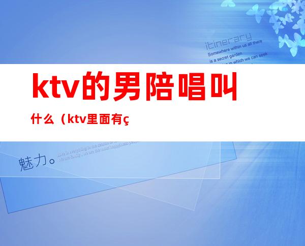 ktv的男陪唱叫什么（ktv里面有男的陪唱的吗）