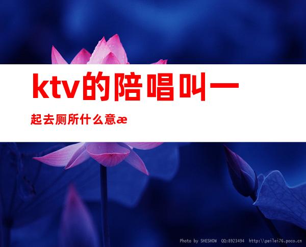 ktv的陪唱叫一起去厕所什么意思（ktv 陪唱是什么意思）