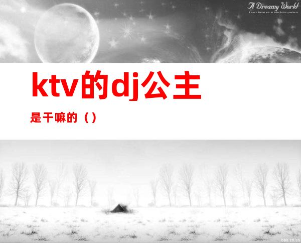 ktv的dj公主是干嘛的（）