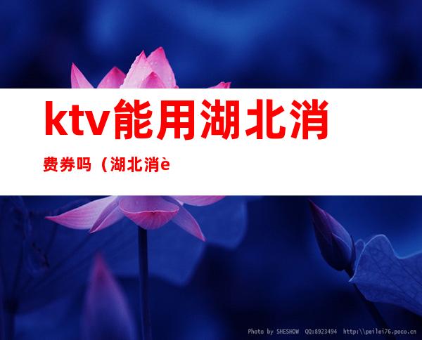 ktv能用湖北消费券吗（湖北消费券可以在哪些地方消费）