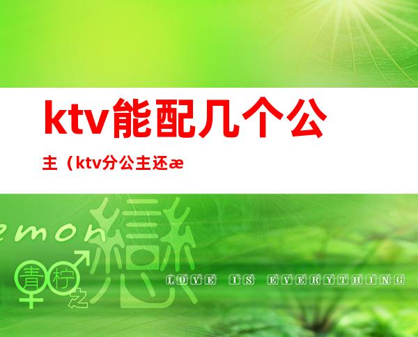 ktv能配几个公主（ktv分公主还有什么）