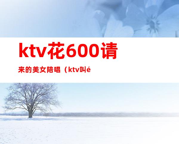 ktv花600请来的美女陪唱（ktv叫陪唱多少钱）