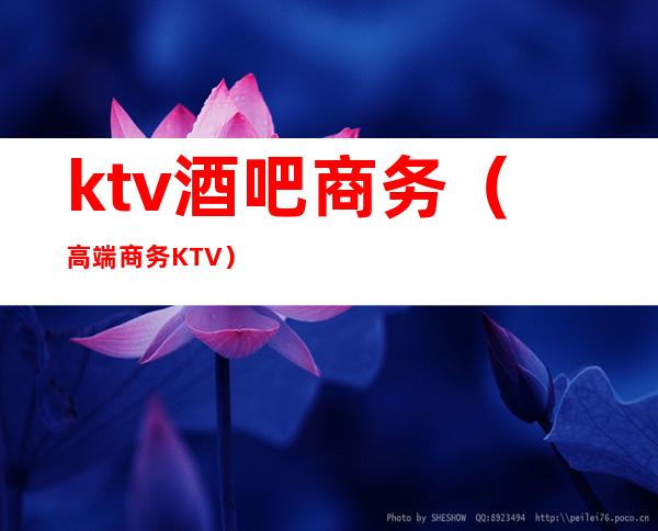 ktv酒吧商务（高端商务KTV）