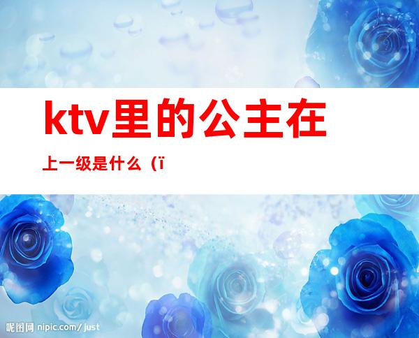 ktv里的公主在上一级是什么（）