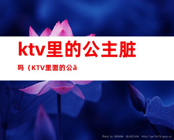 ktv里的公主脏吗（KTV里面的公主违法吗）