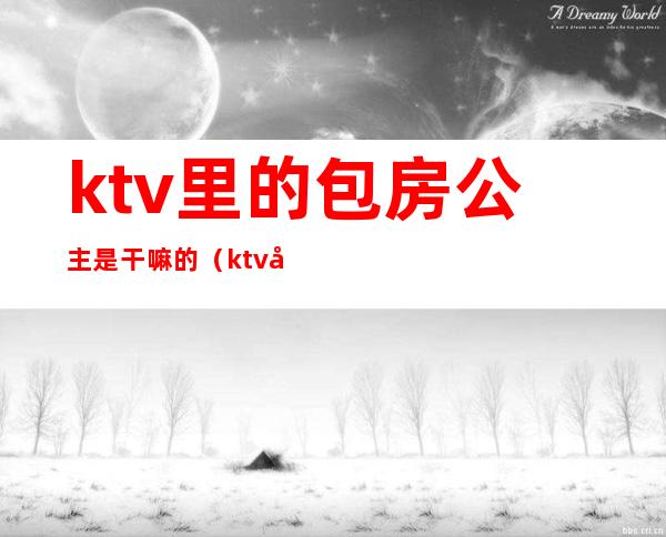 ktv里的包房公主是干嘛的（ktv做包厢公主）