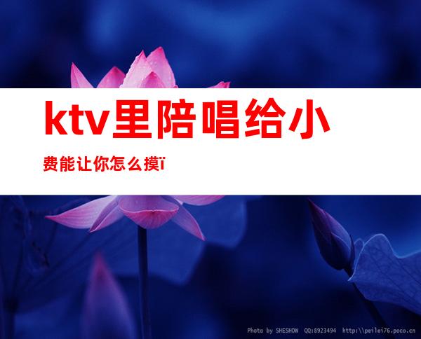 ktv里陪唱给小费能让你怎么摸（在ktv怎样做拿小费拿的多）