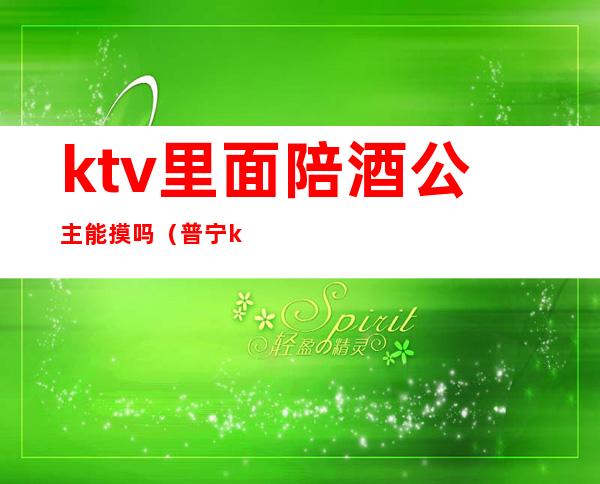 ktv里面陪酒公主能摸吗（普宁ktv公主陪酒）