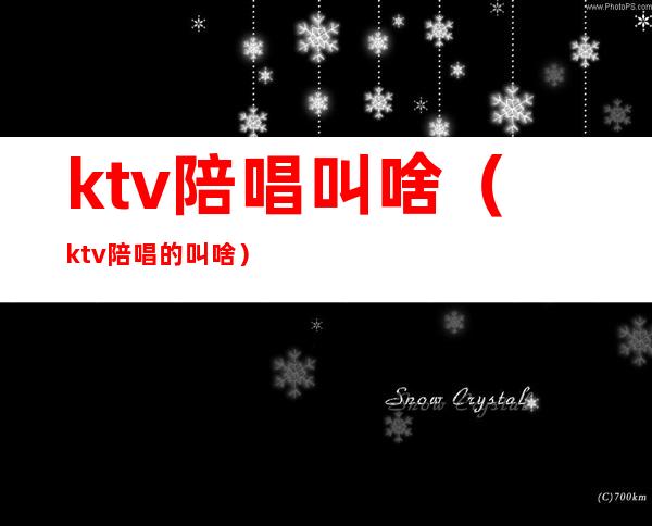 ktv陪唱叫啥（ktv陪唱的叫啥）