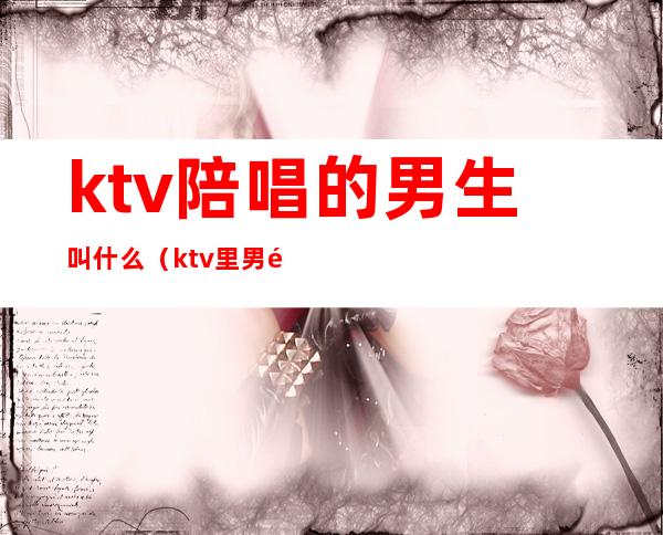 ktv陪唱的男生叫什么（ktv里男陪唱叫什么）