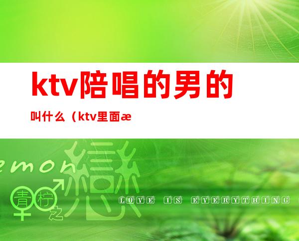 ktv陪唱的男的叫什么（ktv里面有男的陪唱的吗）