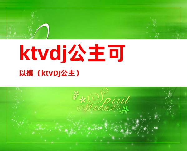 ktvdj公主可以摸（ktvDJ公主）