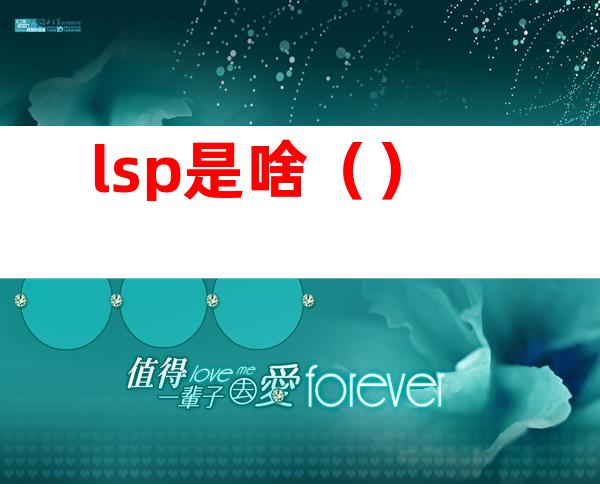 lsp是啥（）