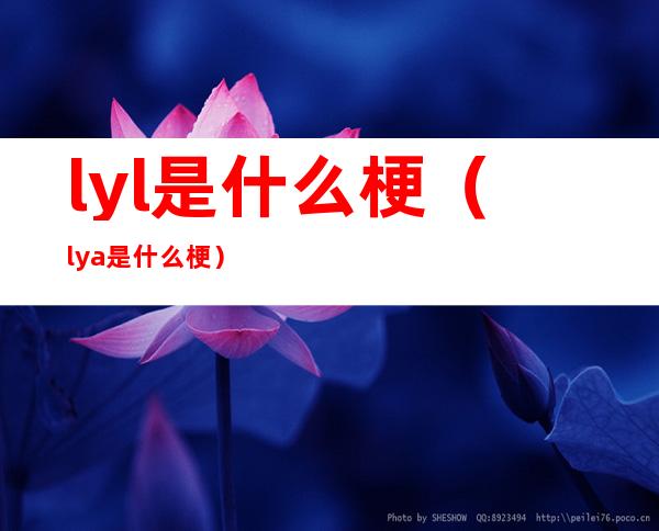 lyl是什么梗（lya是什么梗）