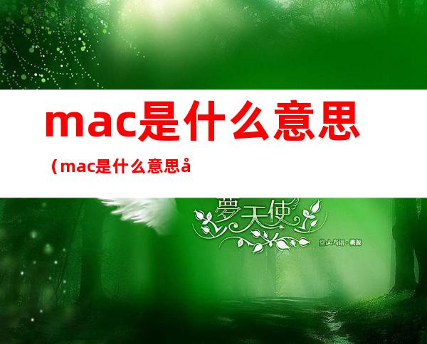 mac是什么意思（mac是什么意思地址）