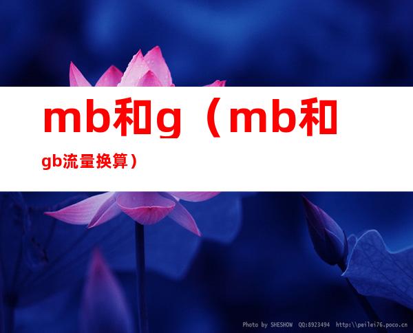 mb和g（mb和gb流量换算）