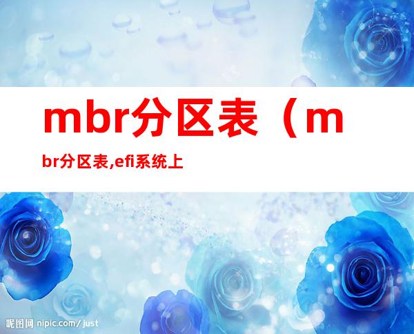 mbr分区表（mbr分区表,efi系统上,只能安装到gpt磁盘）