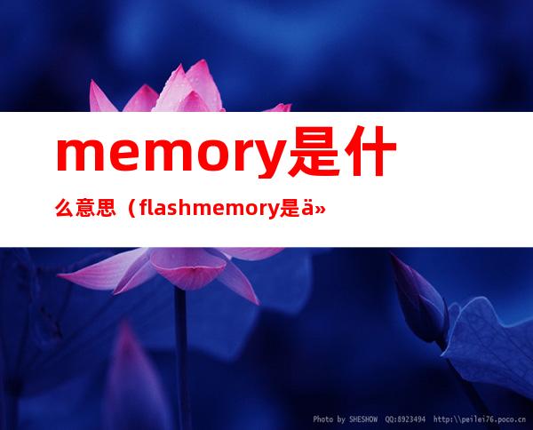 memory是什么意思（flash memory是什么意思）