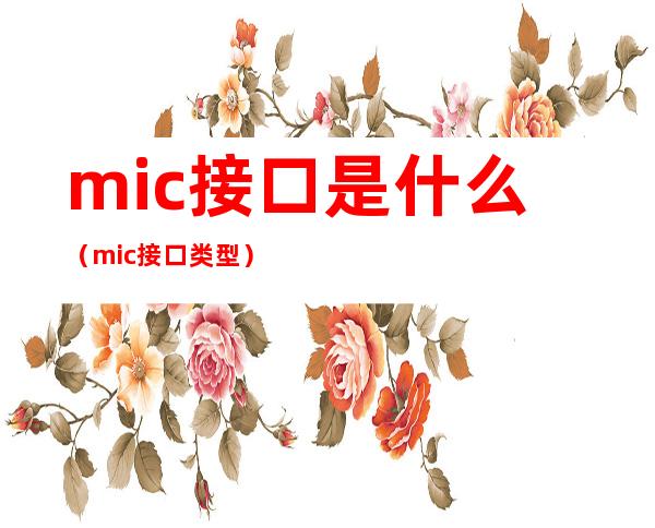 mic接口是什么（mic接口类型）