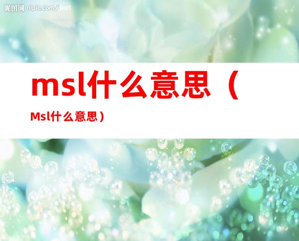 msl什么意思（Msl什么意思）