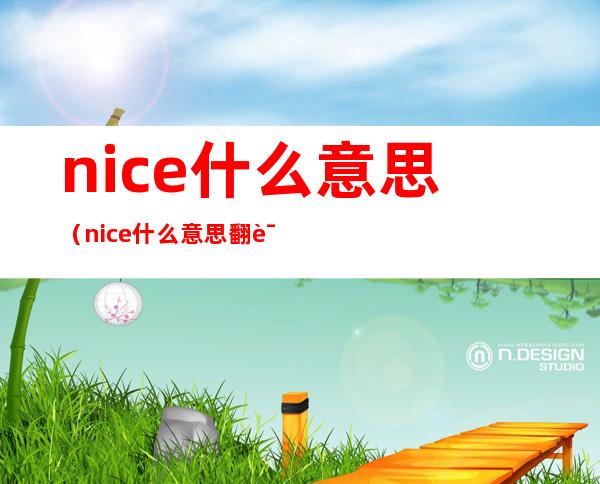 nice什么意思（nice什么意思翻译成中文）