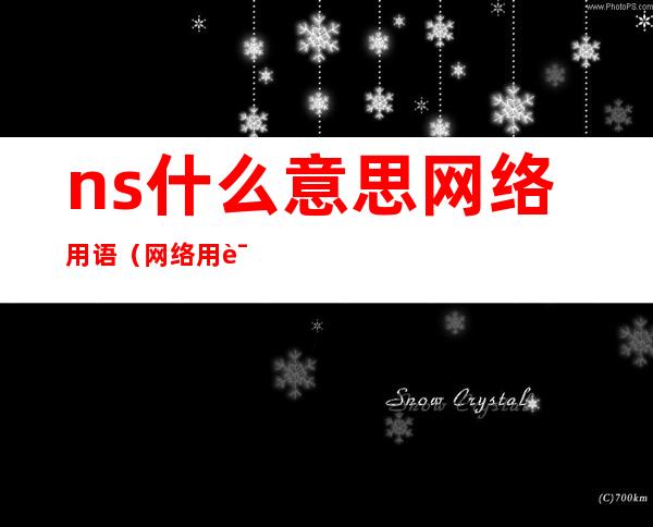 ns什么意思网络用语（网络用语nsi是什么意思）