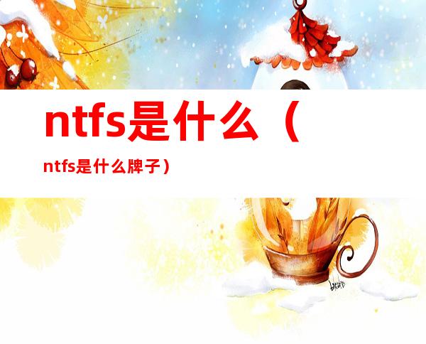 ntfs是什么（ntfs是什么牌子）