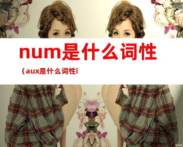 num是什么词性（aux是什么词性）