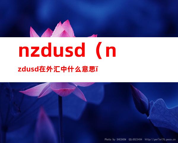 nzdusd（nzdusd在外汇中什么意思）