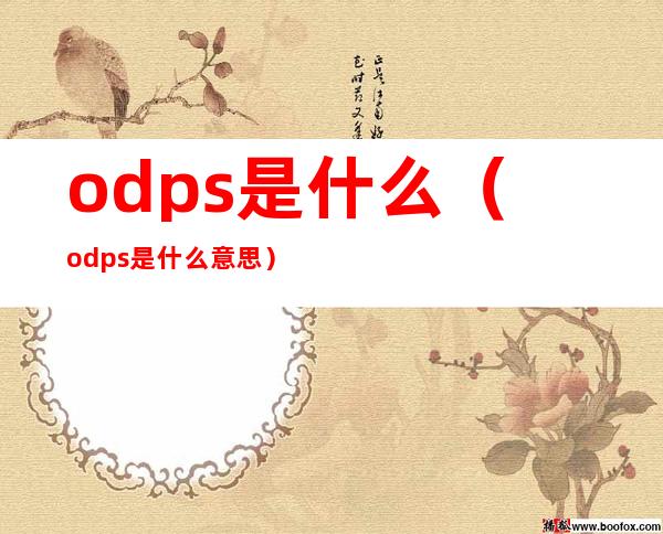 odps是什么（odps是什么意思）